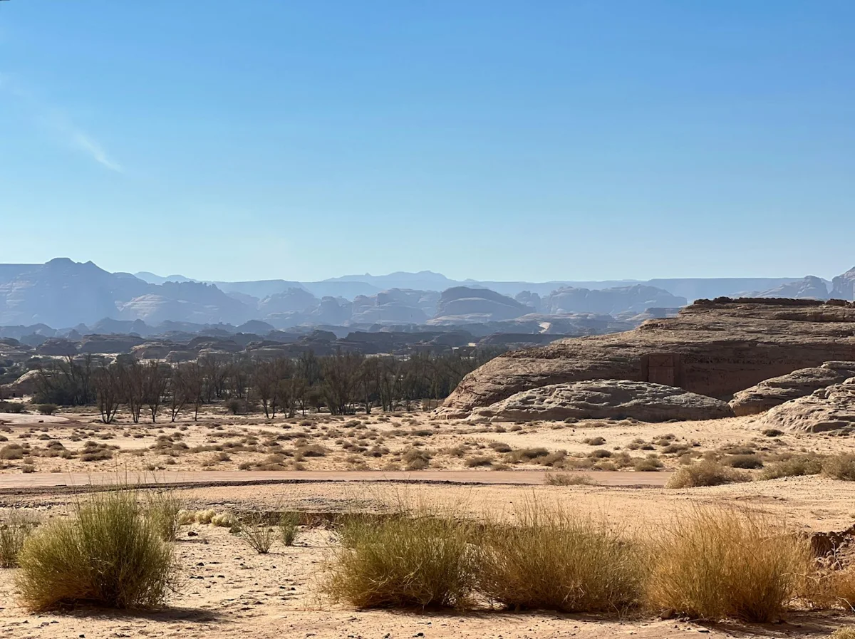 Alula landscape