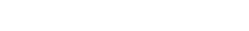 NorthStarLogo